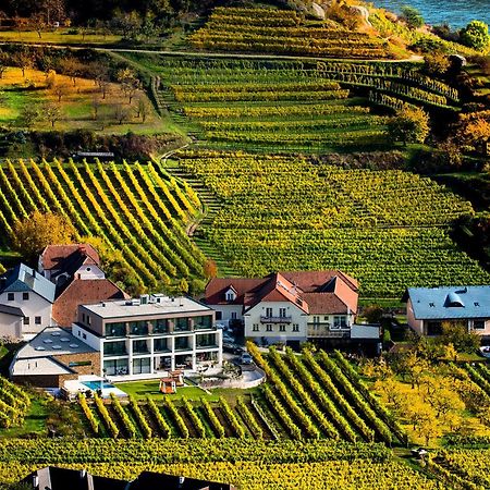 Weingut Donabaum "In Der Spitz" Daire Spitz an der Donau Oda fotoğraf