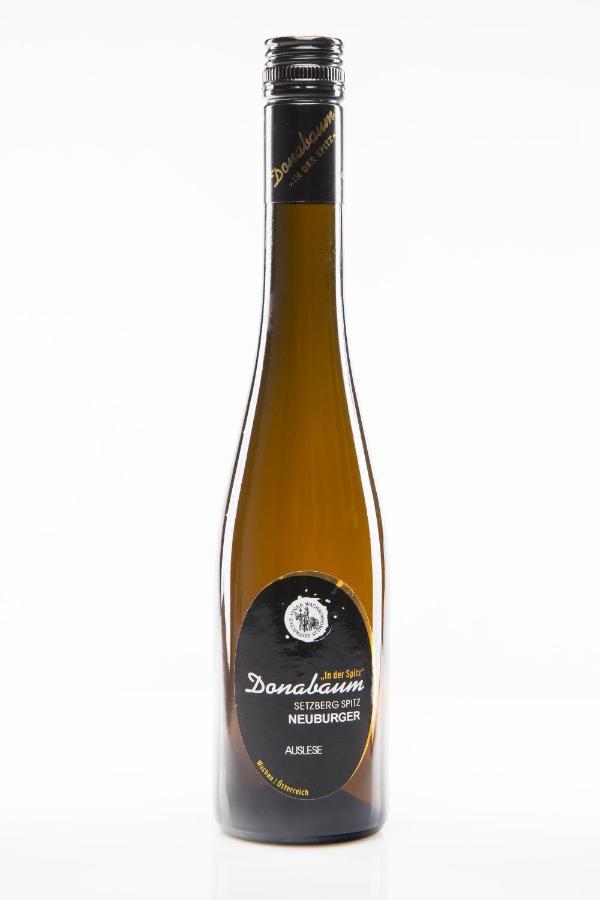 Weingut Donabaum "In Der Spitz" Daire Spitz an der Donau Dış mekan fotoğraf