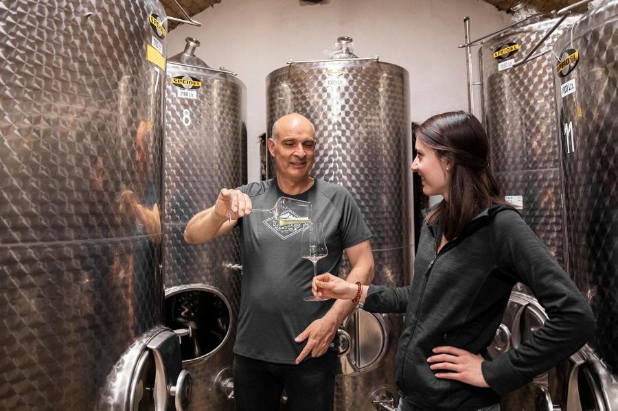 Weingut Donabaum "In Der Spitz" Daire Spitz an der Donau Dış mekan fotoğraf