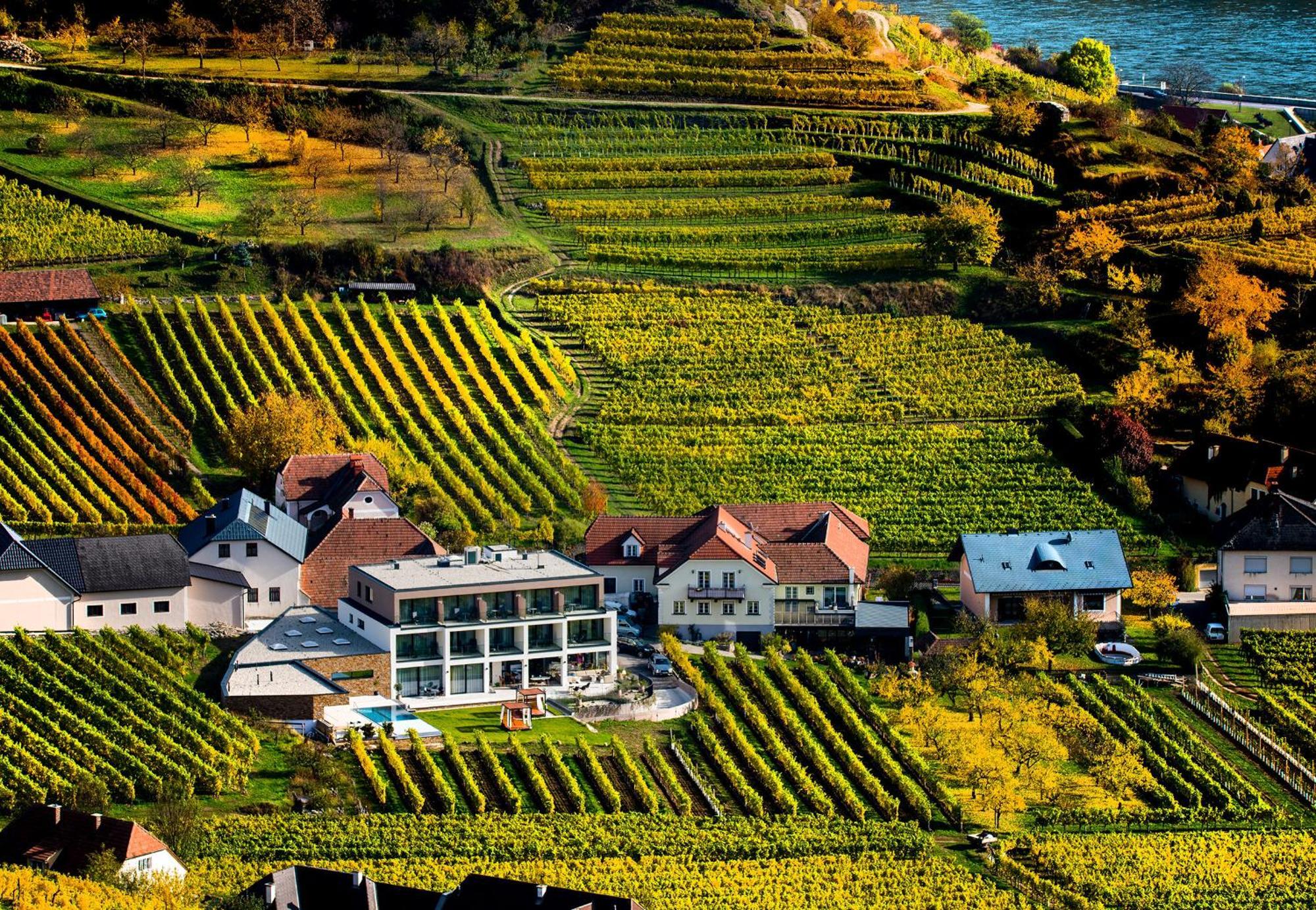 Weingut Donabaum "In Der Spitz" Daire Spitz an der Donau Oda fotoğraf