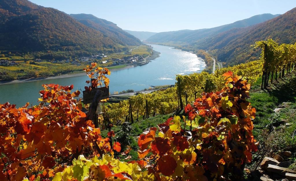 Weingut Donabaum "In Der Spitz" Daire Spitz an der Donau Dış mekan fotoğraf