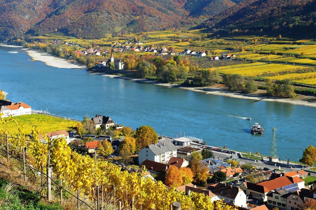 Weingut Donabaum "In Der Spitz" Daire Spitz an der Donau Dış mekan fotoğraf
