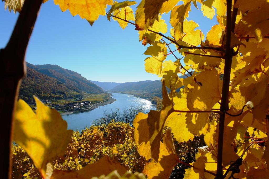Weingut Donabaum "In Der Spitz" Daire Spitz an der Donau Dış mekan fotoğraf
