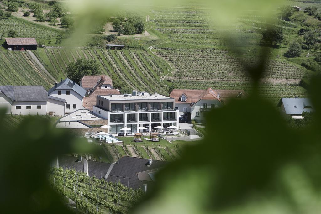 Weingut Donabaum "In Der Spitz" Daire Spitz an der Donau Dış mekan fotoğraf