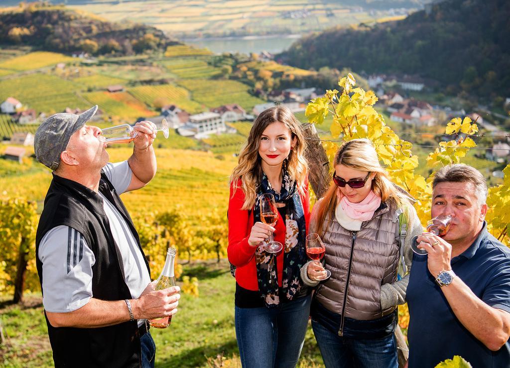 Weingut Donabaum "In Der Spitz" Daire Spitz an der Donau Dış mekan fotoğraf