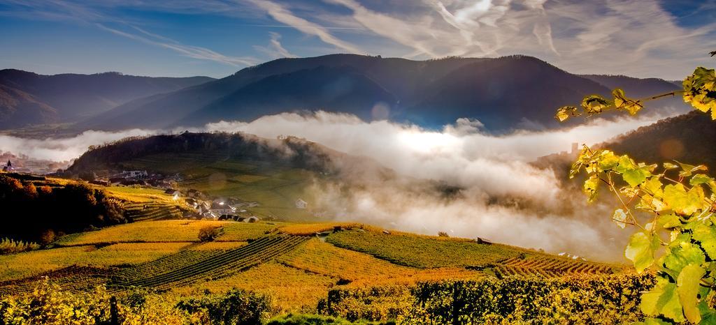 Weingut Donabaum "In Der Spitz" Daire Spitz an der Donau Dış mekan fotoğraf