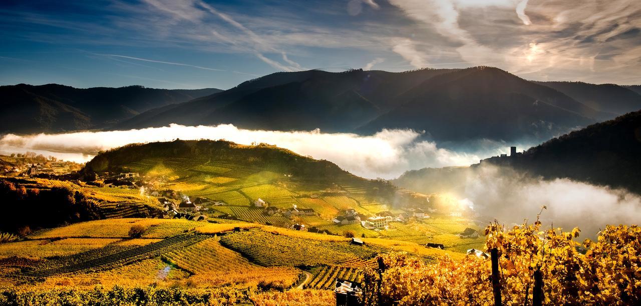 Weingut Donabaum "In Der Spitz" Daire Spitz an der Donau Dış mekan fotoğraf